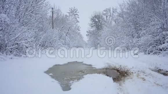 森林公园里下雪冰雪覆盖公园的冬季景观视频的预览图