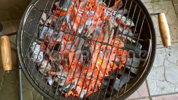 明亮的烧柴和热煤在烤架里在火里视频的预览图