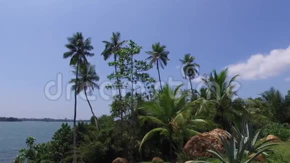 从斯里兰卡岛用手掌观赏海洋视频的预览图