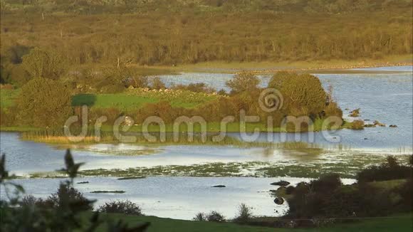 爱尔兰乡村美丽的风景视频的预览图