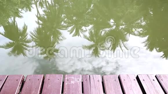 树影在河上视频的预览图