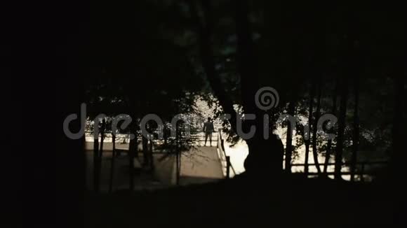 站在码头上的人孤独的剪影前景上有夕阳和树枝图案视频的预览图