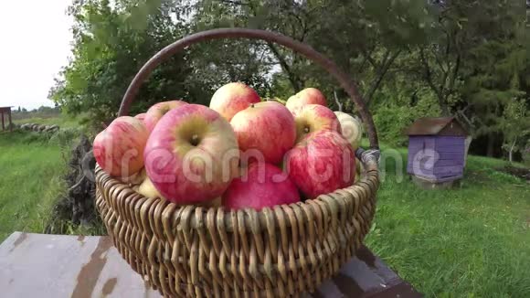院子里柳条篮子里的苹果时间流逝4K视频的预览图