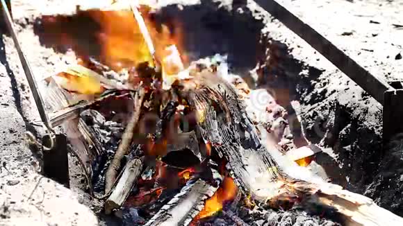 烧柴烧柴烧烧烧烤视频的预览图