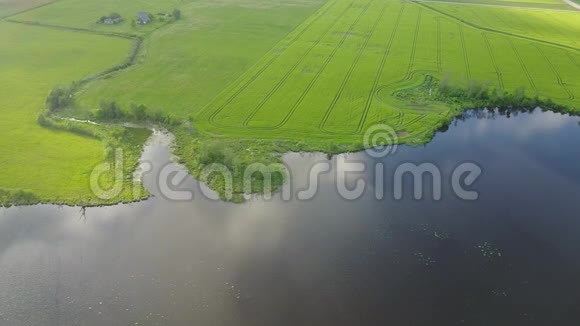 油菜花田黄绿湖鸟瞰乡村无人机俯视拉脱维亚视频的预览图