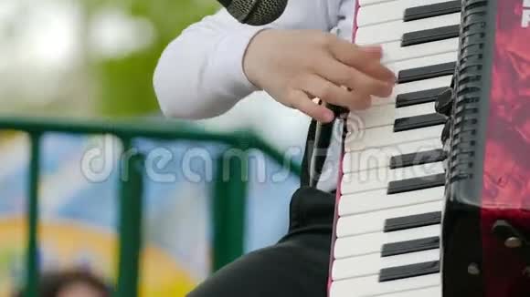 男孩的手在手风琴的钥匙上特写视频的预览图