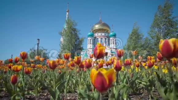 乌斯彭斯基大教堂的背景是美丽的郁金香视频的预览图
