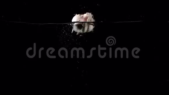 大蒜滴在黑色背景上视频的预览图