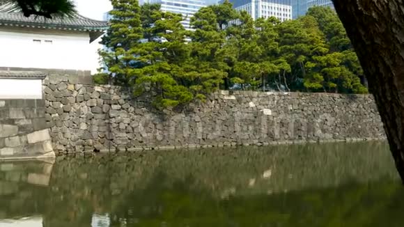 东京故宫视频的预览图