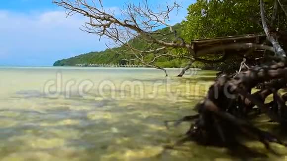 阳光明媚的热带岛屿萨拉森湾海滩景观视频的预览图