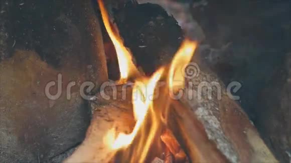 燃烧的柴火视频的预览图