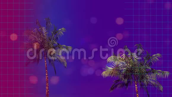 棕榈树周围有一种拼字和的效果视频的预览图