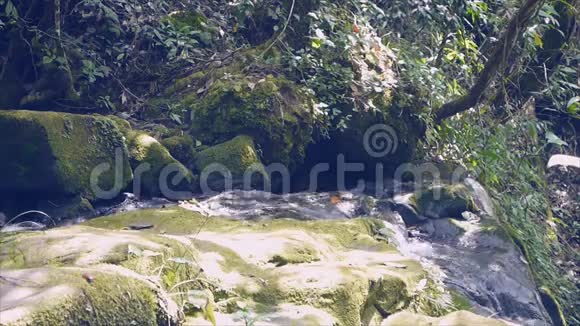 PhuSoidao国家公园有苔藓岩的Saitip瀑布视频的预览图