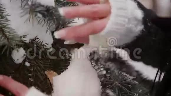 女孩抚摸着云杉树枝上的雪视频的预览图