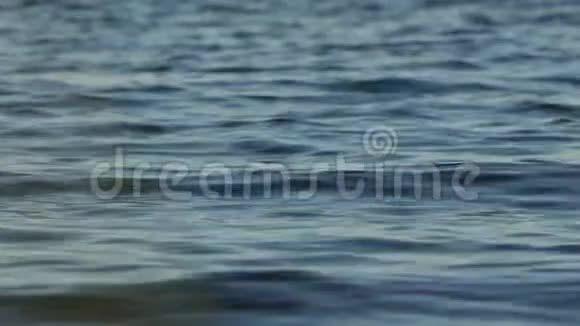 靠近波浪起伏的湖面视频的预览图