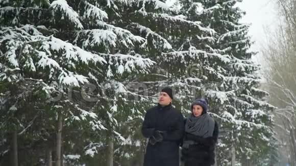 年轻夫妇在冬季公园散步视频的预览图