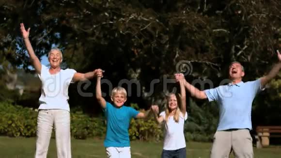 孙子孙女和祖父母在公园里一起跳视频的预览图