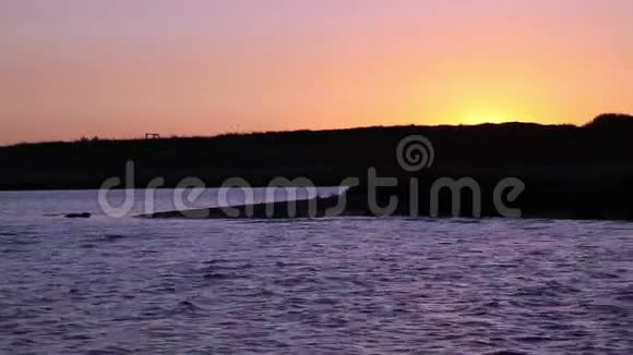 夕阳西下的罗格河中游泳视频的预览图