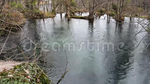 森林里的小池塘视频的预览图