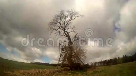 浮云和树在风中时光流逝视频的预览图