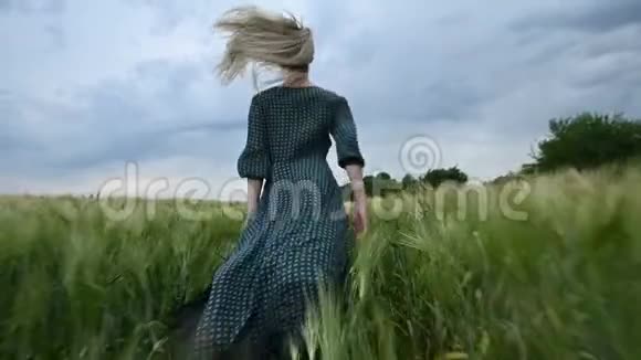 年轻快乐的金发女孩在雨天的背景下晚上跑在绿色的麦田上从视频的预览图