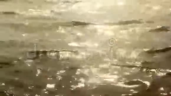 日落时分靠近波光粼粼的水面视频的预览图