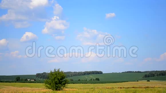 在炎热的夏日天空笼罩在田野上视频的预览图