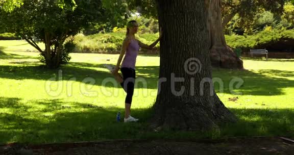 跑步者伸出双腿靠在树上视频的预览图