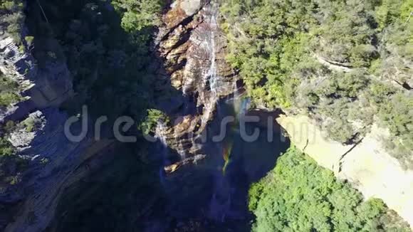 漫山遍野森林中的小河和瀑布视频的预览图