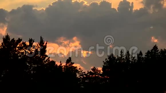 日落时分天空中的云彩在树的轮廓上消失视频的预览图