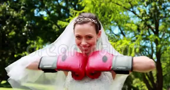 漂亮的新娘对着镜头微笑戴着拳击手套视频的预览图