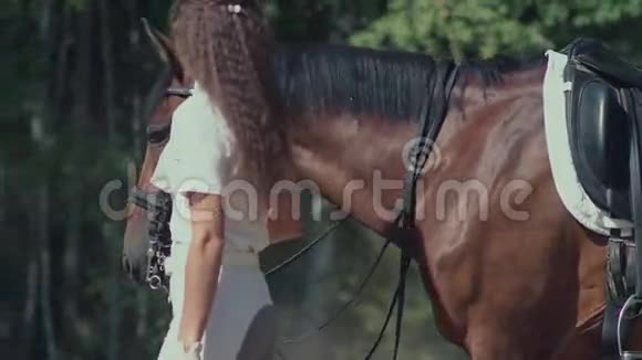 美丽的女孩在乡下骑马西装骑手视频的预览图