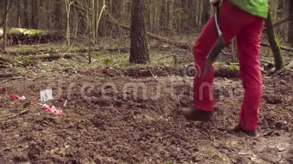 在森林里挖土缝的女生态学家视频的预览图