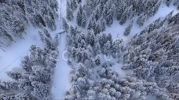 寒冷的冬天覆盖着白雪的空中森林景观视频的预览图