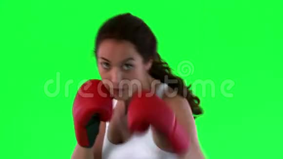 运动女性练习拳击视频的预览图