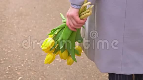 黄色郁金香在雌手视频的预览图