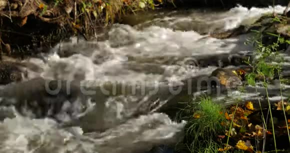 秋天森林里纯净的淡水瀑布视频的预览图