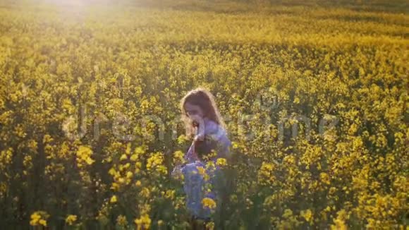 日落时在田野里的小女孩和男孩慢节奏视频的预览图