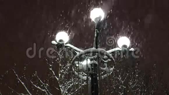 白色的路灯用圆形的灯照明落下来的雪视频的预览图