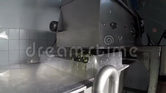 现代油磨中的橄榄清洗过程视频的预览图