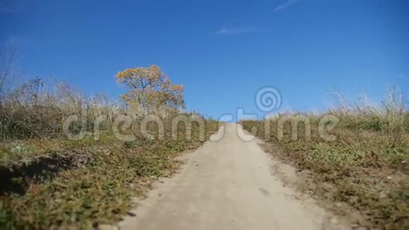 山上的小道孤独的树旅行自然视频的预览图