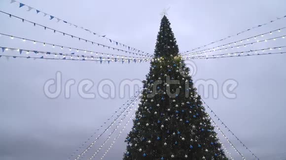 城市主要圣诞树的视图视频的预览图