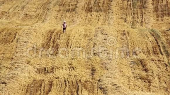 男孩跑在黄色的田野里男孩跑在割草的田野里男孩跑在稻草里视频的预览图