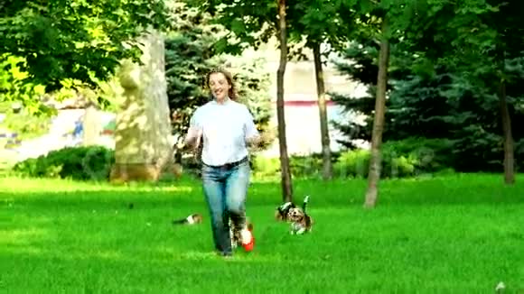 小猎犬在夏天的草地上奔跑视频的预览图