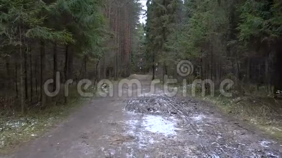 森林冰冻景观视频视频的预览图