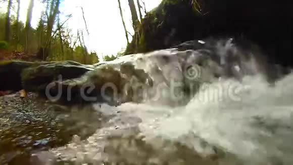 美丽的小溪在美丽的森林里视频的预览图