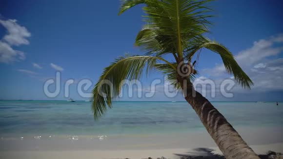 岛式热带海滩有白沙绿松石海水和椰子棕榈树多米尼加共和国蓬塔卡纳视频的预览图