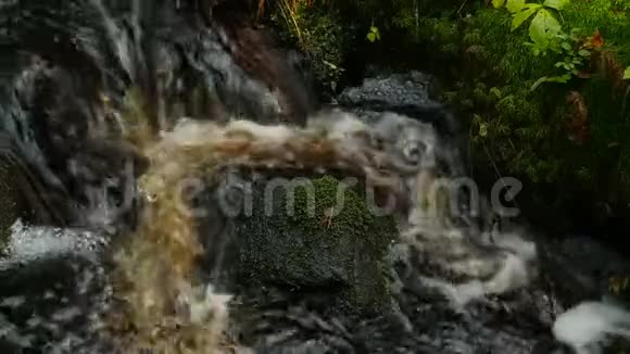 森林溪流的瀑布视频的预览图