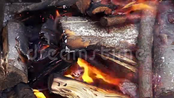 在篝火特写镜头里烧木头视频的预览图
