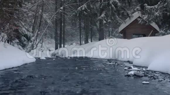 冬季森林中的河流视频的预览图